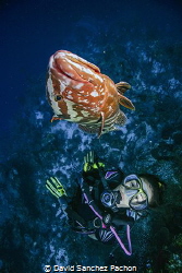 swimming and having fun with a nassau grouper by David Sanchez Pachon 